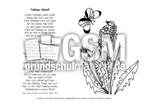 Frühlingsankunft-Fallersleben-ausmalen.pdf
